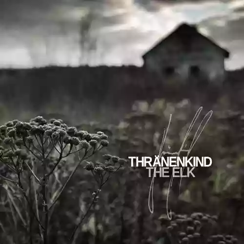 Cover di The Elk