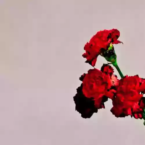 Cover di Love in The Future