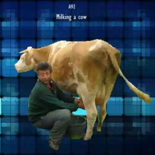 Cover di Milking a cow