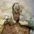 <b>Negură Bunget</b> • Om