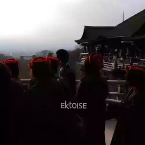 Cover Ektoise - Ektoise