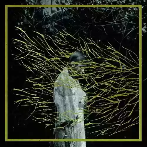 Cover Forest Swords - Engravings