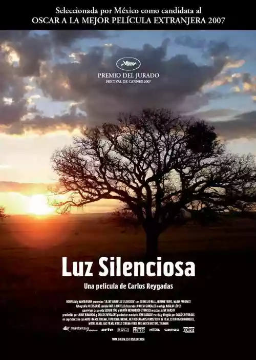 Cover di Stellet Licht