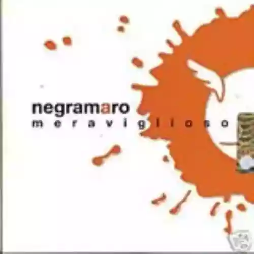 Cover di Meraviglioso