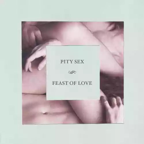 Cover Pity Sex - Feast Of Love