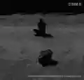 <b>Storm{O}</b> • Sospesi Nel Vuoto Bruceremo In Un Attimo E Il Cerchio Sarà Chiuso