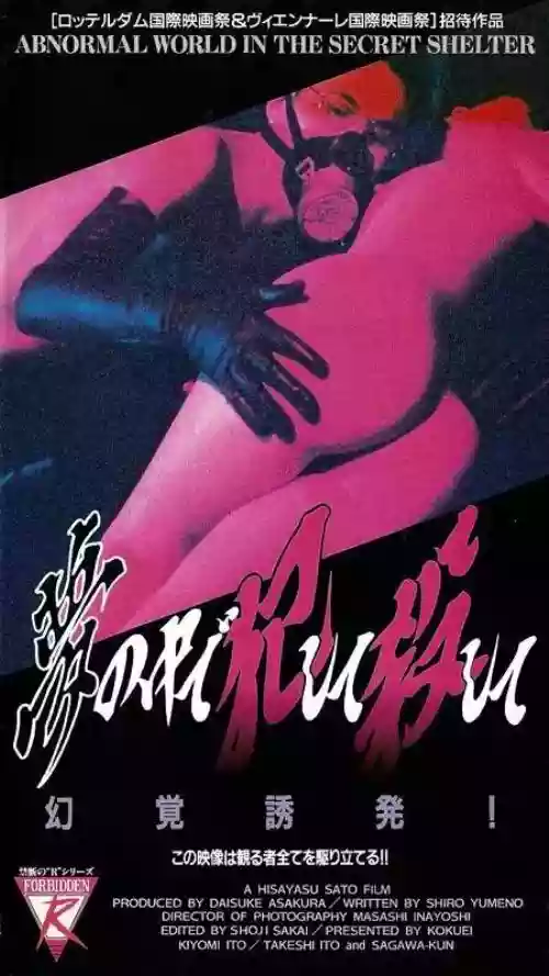 Cover di The Bedroom