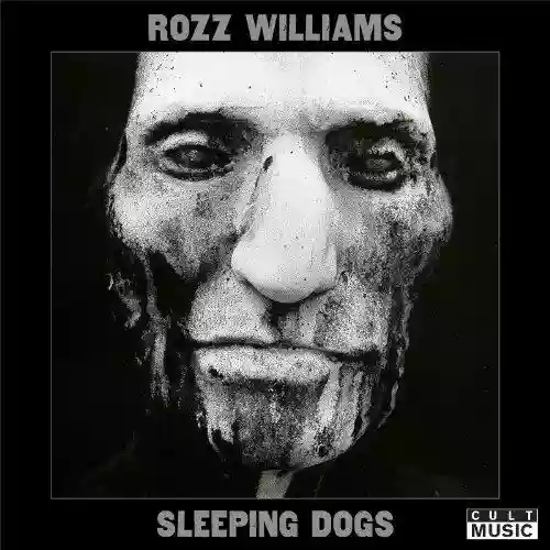Cover di Sleeping Dogs