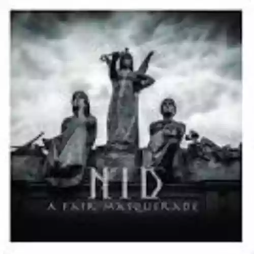 Cover di A Fair Masquerade