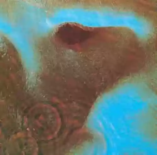 Cover di Pompeii