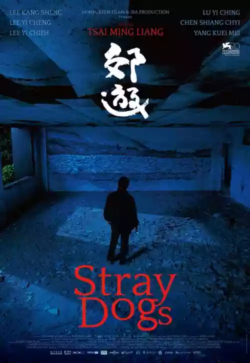 Cover di Stray Dogs