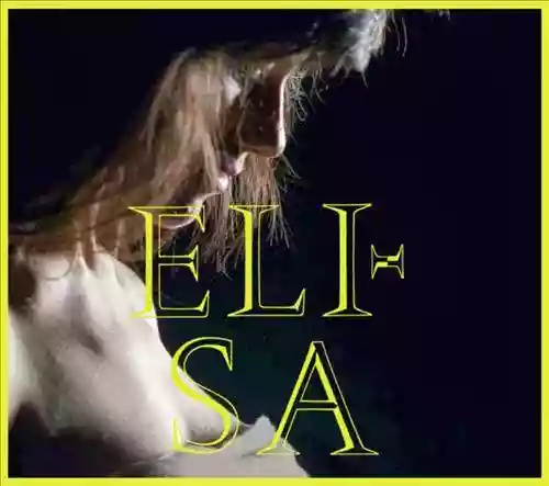 Cover di L' Anima Vola
