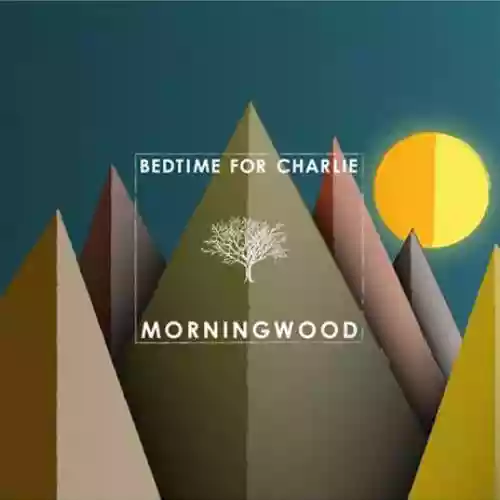 Cover di Morningwood