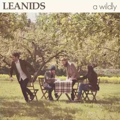 Cover di A Wildly