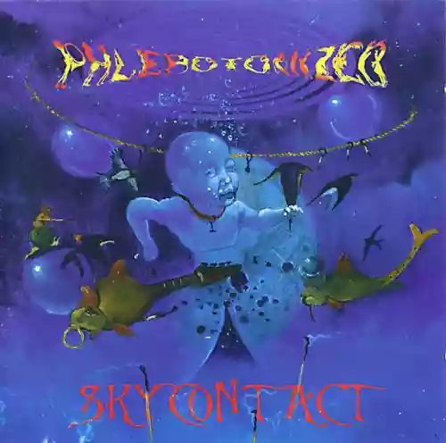 Cover di Skycontact