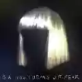 <b>Sia</b> • 1000 Forms of Fear