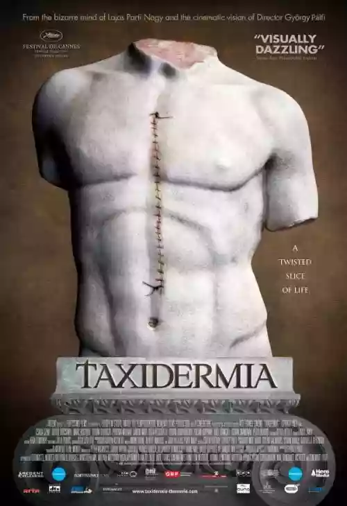 Cover di Taxidermia