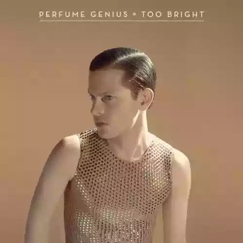 Cover Perfume Genius - Too Bright