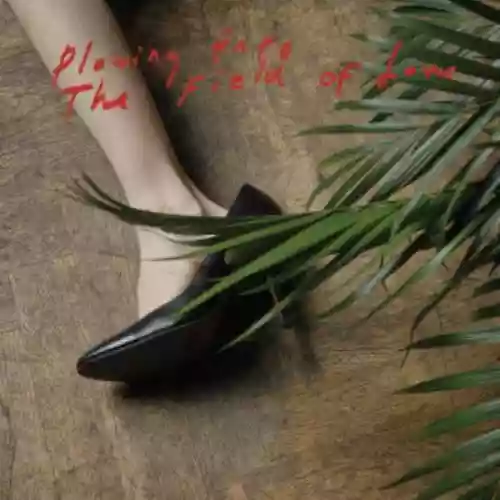 Cover di  Plowing Into The Field Of Love