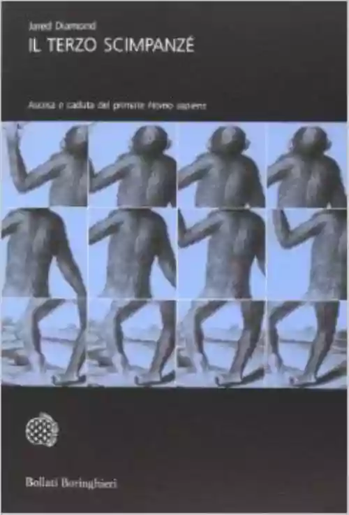 Cover di Il terzo scimpanzé. Ascesa e caduta del primate Homo Sapiens