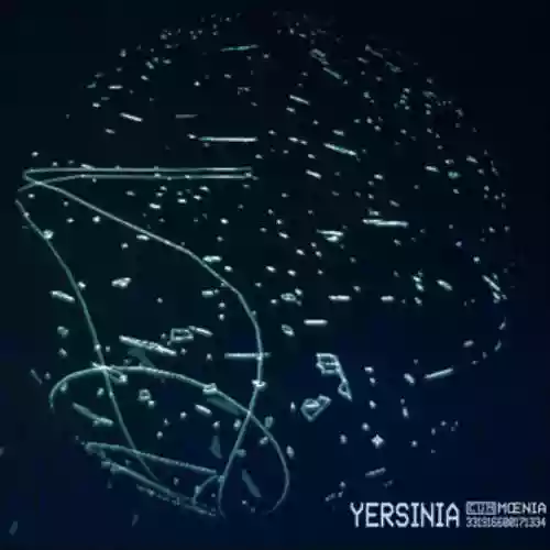 Cover di Yersinia