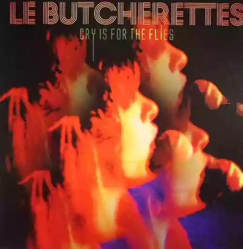Cover di Cry Is For The Flies