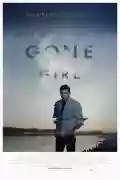 <b>David Fincher</b> • Gone Girl