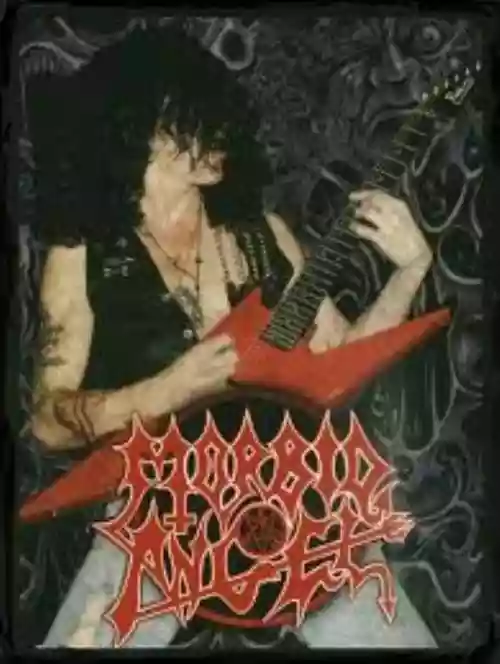 Cover di La fragilità dell'Angelo Morboso 