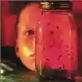 <b>Alice in Chains</b> • Jar of Flies