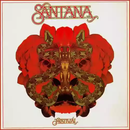Cover di Festival