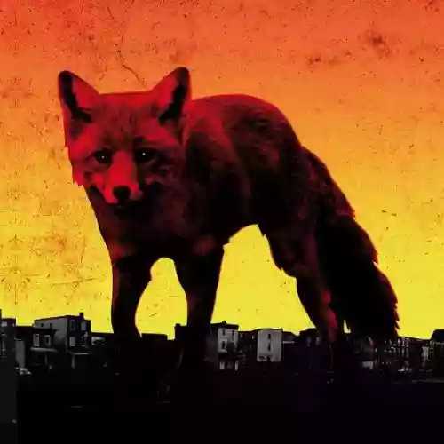 Cover di The Days is My Enemy