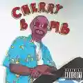 <b>Tyler, the Creator</b> • Cherry Bomb
