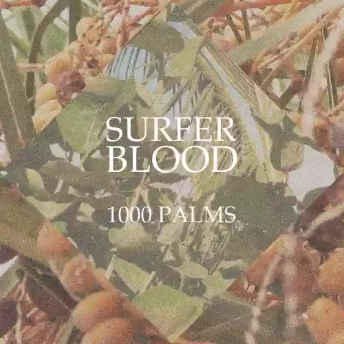 Cover di 1000 Palms