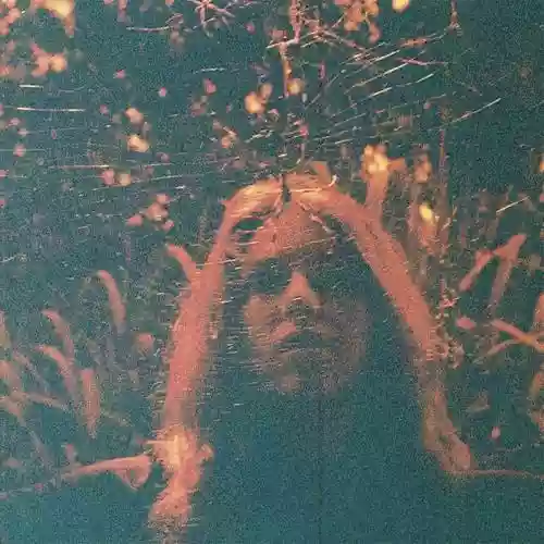 Cover di Peripheral Vision