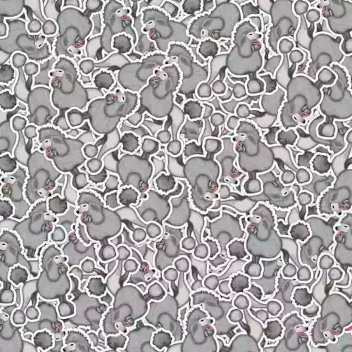Cover di fuck fluff pup