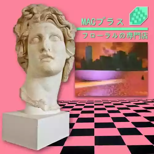 Cover Macintosh Plus - Floral Shoppe