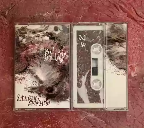 Cover di Bad Trip Simulator #2