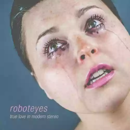 Cover di True Love In Modern Stereo