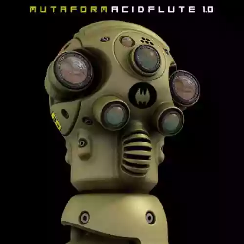 Cover di acid flute