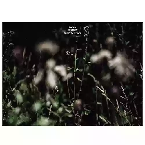 Cover di Rocks & Straws