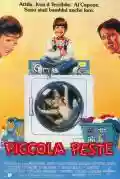 <b>Dennis Dugan</b> • Piccola peste