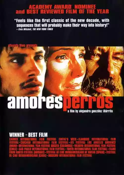 Cover di Amores perros