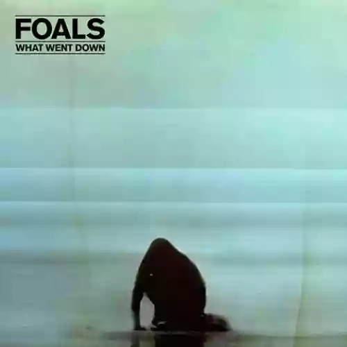 Cover Foals - What Went Down