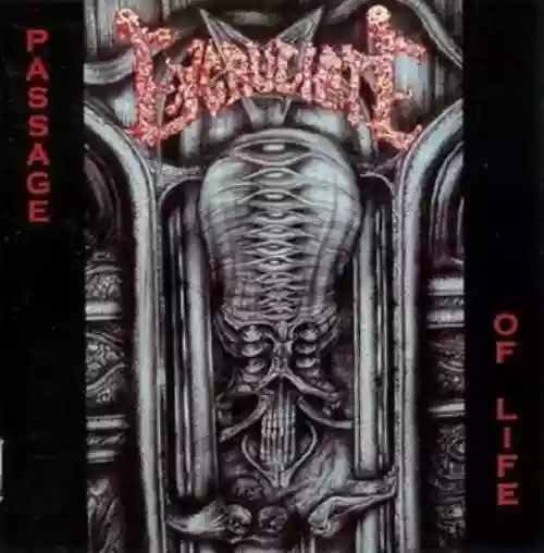 Cover Excruciate - Passage of Life