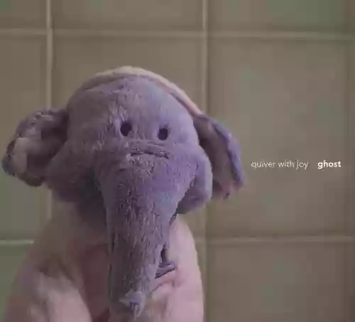 Cover di Ghost