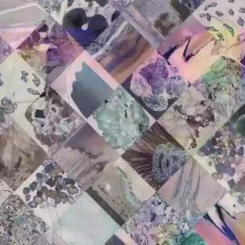 Cover White Poppy - Natural Phenomena