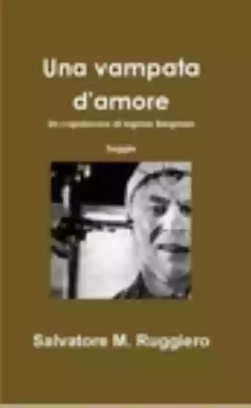 Cover di Una Vampata d'Amore