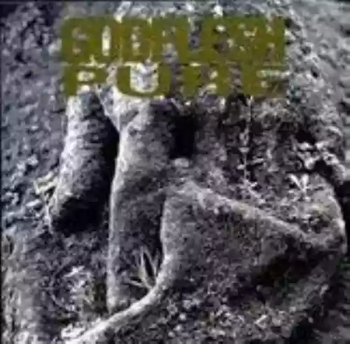 Cover di Pure