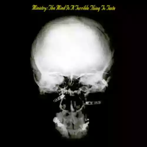 Cover di The Mind Is A Terrible Thing To Taste