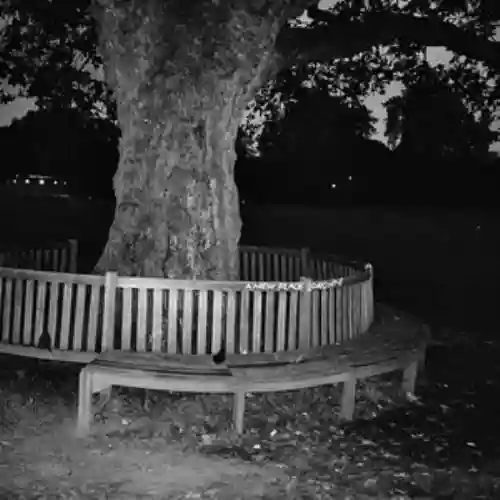 Cover di A New Place 2 Drown